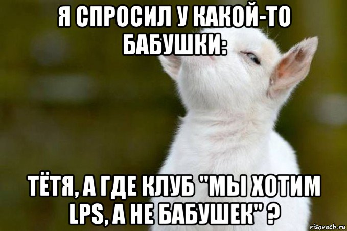 я спросил у какой-то бабушки: тётя, а где клуб "мы хотим lps, а не бабушек" ?, Мем  Гордый козленок