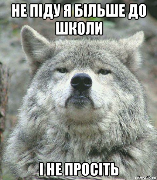 не піду я більше до школи і не просіть, Мем    Гордый волк