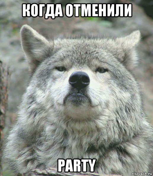 когда отменили party