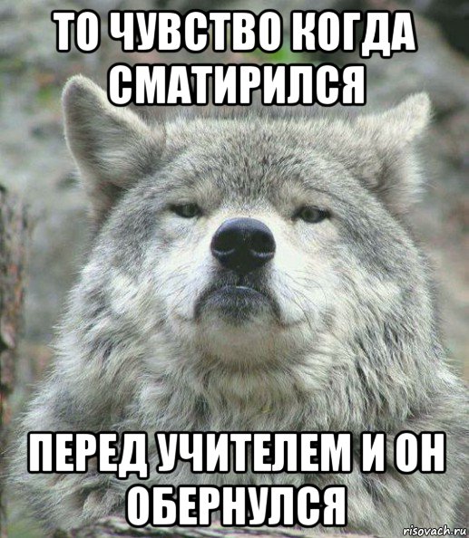 то чувство когда сматирился перед учителем и он обернулся, Мем    Гордый волк