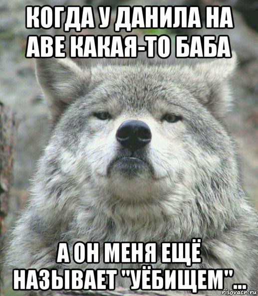 когда у данила на аве какая-то баба а он меня ещё называет "уёбищем"..., Мем    Гордый волк