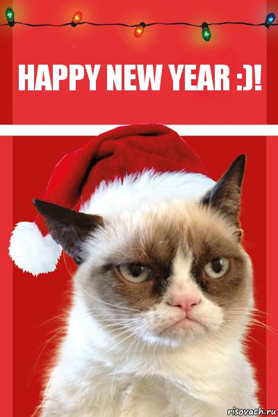 Happy new year :)!, Комикс  Grumpy cat new year