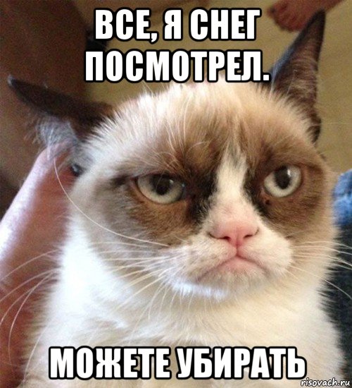 все, я снег посмотрел. можете убирать