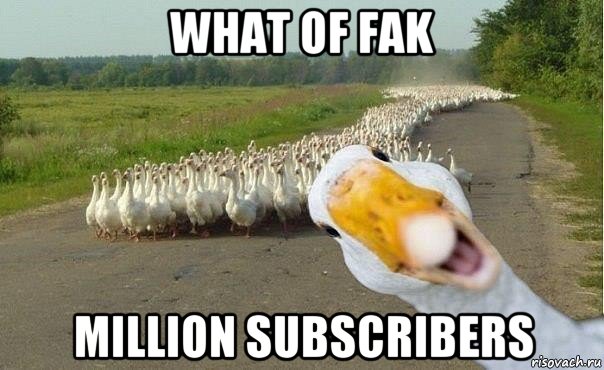what of fak million subscribers, Мем гуси