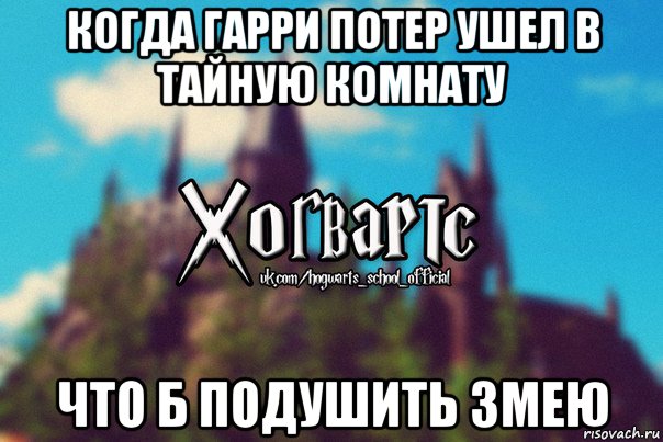 когда гарри потер ушел в тайную комнату что б подушить змею, Мем Хогвартс