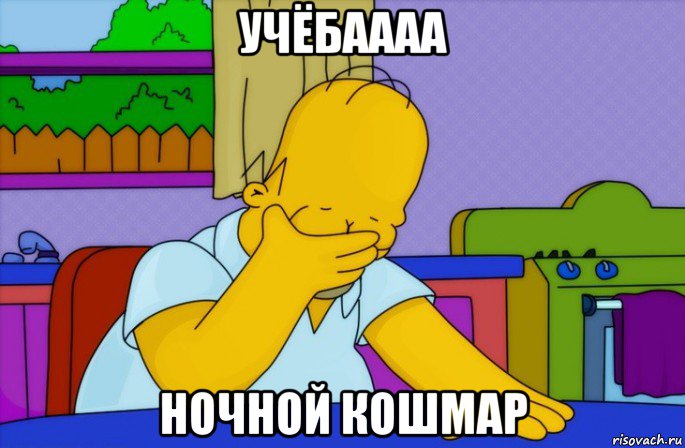 учёбаааа ночной кошмар, Мем Homer simpson facepalm