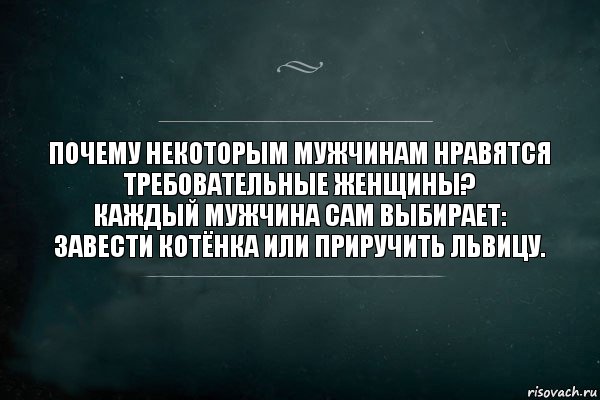 Почему некоторым мужчинам нравятся требовательные женщины?
Каждый мужчина сам выбирает: завести котёнка или приручить львицу., Комикс Игра Слов