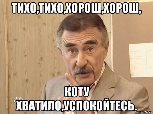 тихо,тихо,хорош,хорош, коту хватило,успокойтесь., Мем Каневский (Но это уже совсем другая история)