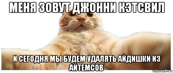 меня зовут джонни кэтсвил и сегодня мы будем удалять айдишки из айтемсов, Мем   Кэтсвилл