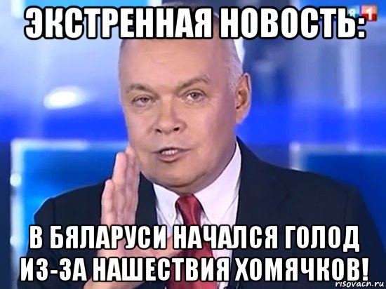 экстренная новость: в бяларуси начался голод из-за нашествия хомячков!, Мем Киселёв 2014