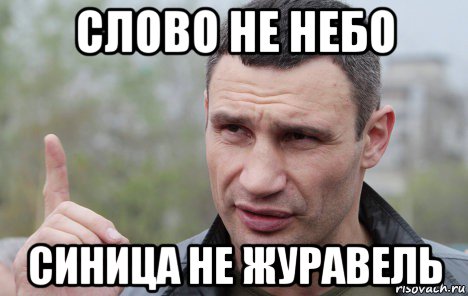 слово не небо синица не журавель