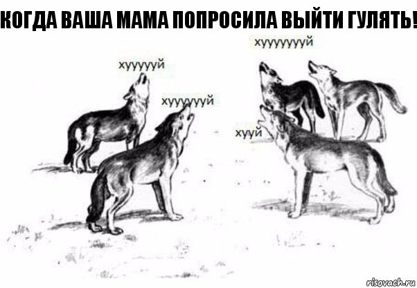 Когда ваша мама попросила выйти гулять!