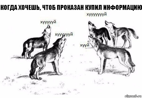 когда хочешь, чтоб проказан купил информацию, Комикс Когда хочешь