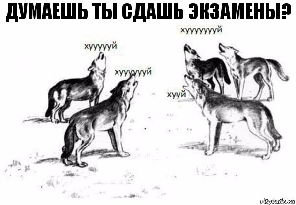 Думаешь ты сдашь экзамены?