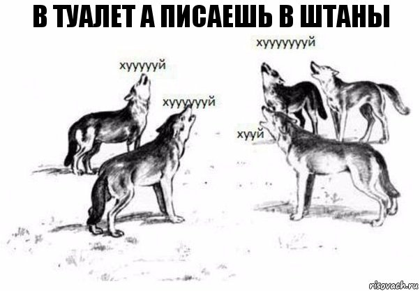 В ТУАЛЕТ А ПИСАЕШЬ В ШТАНЫ, Комикс Когда хочешь