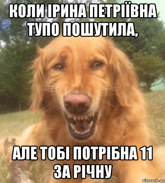 коли ірина петріївна тупо пошутила, але тобі потрібна 11 за річну, Мем   Когда увидел что соседского кота отнесли в чебуречную