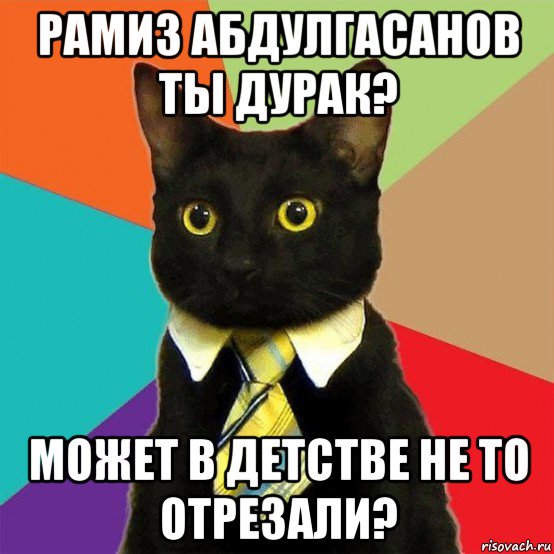 рамиз абдулгасанов ты дурак? может в детстве не то отрезали?, Мем  Кошечка