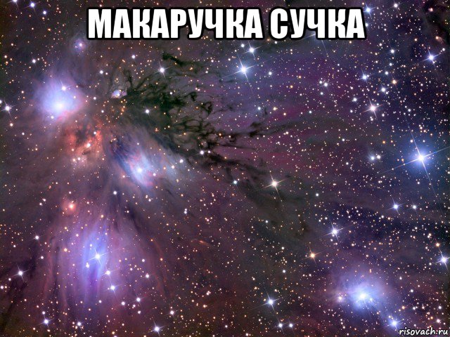 макаручка сучка , Мем Космос