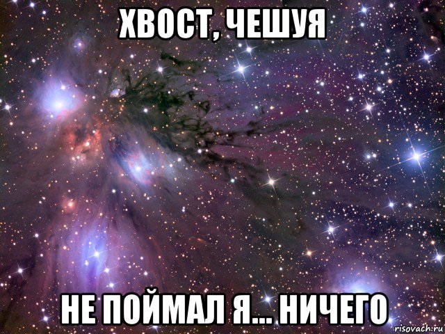 хвост, чешуя не поймал я... ничего, Мем Космос