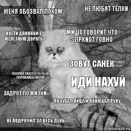 женя обозвал лохом иди нахуй Миша говорит,что slipknot говно не подрочил за весь день посрал так,что чуть не порвалась жопа не любят тёлки почухал яйца и понюхал руку ногти длинной с железную дорогу задрот по жизни зовут Санёк, Комикс  кот безысходность