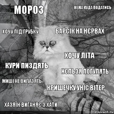 мороз нєльзя погулять барсік на нєрвах хазяїн виганяє з хати кури пиздять нема куда податись кришечку уніс вітер хочу під грубку миші не вилазять хочу літа, Комикс  кот безысходность