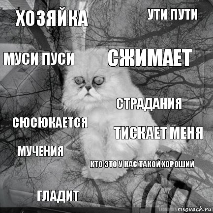 хозяйка тискает меня сжимает гладит сюсюкается ути пути кто это у нас такой хороший муси пуси мучения страдания, Комикс  кот безысходность