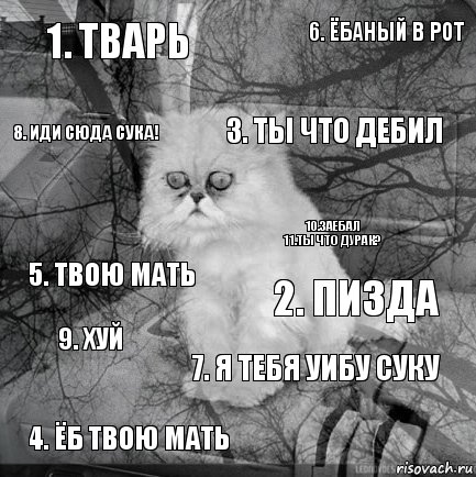 1. Тварь 2. Пизда 3. Ты что дебил 4. Ёб твою мать 5. Твою мать 6. Ёбаный в рот 7. Я тебя уибу суку 8. Иди сюда сука! 9. Хуй 10.Заебал
11.Ты что дурак?, Комикс  кот безысходность