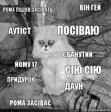 Рома Пішов засівать Сію сію Посіваю РОМА ЗАСІВАЄ Йому 17 Він гей Даун Аутіст Придурок Єбанутий, Комикс  кот безысходность