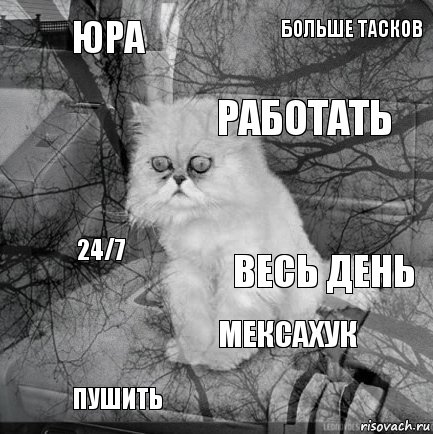 Юра весь день работать пушить 24/7 больше тасков мексахук   , Комикс  кот безысходность