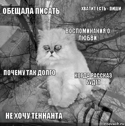 Обещала писать Когда рассказ будет Воспоминания о любви Не хочу Теннанта Почему так долго Хватит есть - пиши    , Комикс  кот безысходность