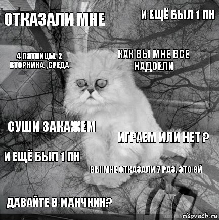 отказали мне Играем или нет ? Как вы мне все надоели Давайте в манчкин? Суши закажем И ещё был 1 пн Вы мне отказали 7 раз. Это 8й 4 пятницы. 2 вторника. ,среда И ещё был 1 пн , Комикс  кот безысходность