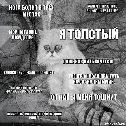 Нога болит в трёх местах тренер сказал прыгать на скакалке15 мин. Я толстый не забыть сделать селфи на фоне ринга! синяки не успевают проходить Зачем я жрал все выходные?Зачем? от капы меня тошнит мои ноги уже похудели? тайский бокс -это красивый вид спорта? боже,как пить хочется!, Комикс  кот безысходность