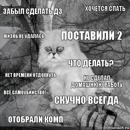 забыл сделать дз не сделал домашнюю работу поставили 2 отобрали комп нет времени отдохнуть хочется спать скучно всегда жизнь не удалась всё самоубийство! что делать?, Комикс  кот безысходность