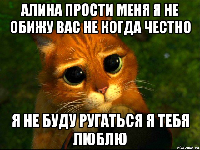 алина прости меня я не обижу вас не когда честно я не буду ругаться я тебя люблю, Мем кот из шрека