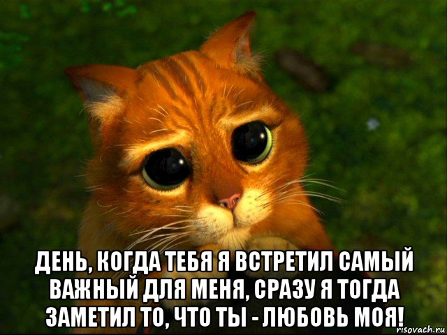  день, когда тебя я встретил самый важный для меня, сразу я тогда заметил то, что ты - любовь моя!, Мем кот из шрека