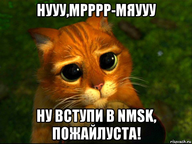 нууу,мрррр-мяууу ну вступи в nmsk, пожайлуста!, Мем кот из шрека