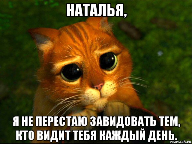 наталья, я не перестаю завидовать тем, кто видит тебя каждый день., Мем кот из шрека