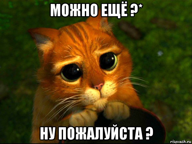 можно ещё ?* ну пожалуйста ?, Мем кот из шрека