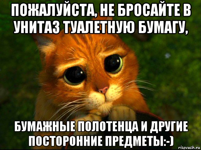 пожалуйста, не бросайте в унитаз туалетную бумагу, бумажные полотенца и другие посторонние предметы:-)