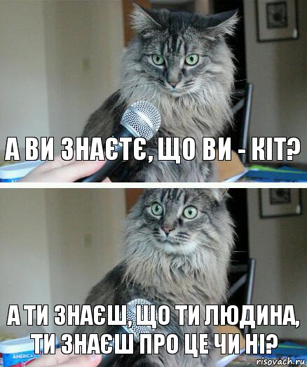 А ви знаєтє, що ви - кіт? А ти знаєш, що ти людина,
ти знаєш про це чи ні?, Комикс  кот с микрофоном