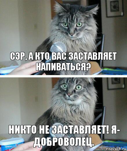 Сэр, а кто вас заставляет напиваться? никто не заставляет! я- доброволец., Комикс  кот с микрофоном