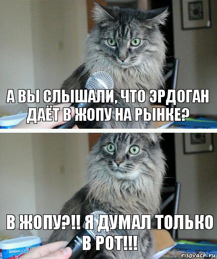 А вы слышали, что Эрдоган даёт в жопу на рынке? В жопу?!! Я думал только в рот!!!, Комикс  кот с микрофоном