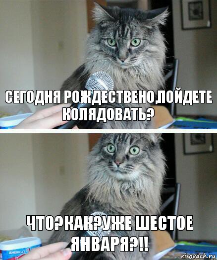 Сегодня Рождествено,пойдете колядовать? Что?Как?Уже шестое января?!!, Комикс  кот с микрофоном