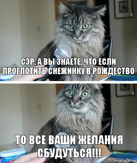 СЭр, а вы знаете, что если проглотить снежинку в рождество то все ваши желания сбудуться!!!, Комикс  кот с микрофоном