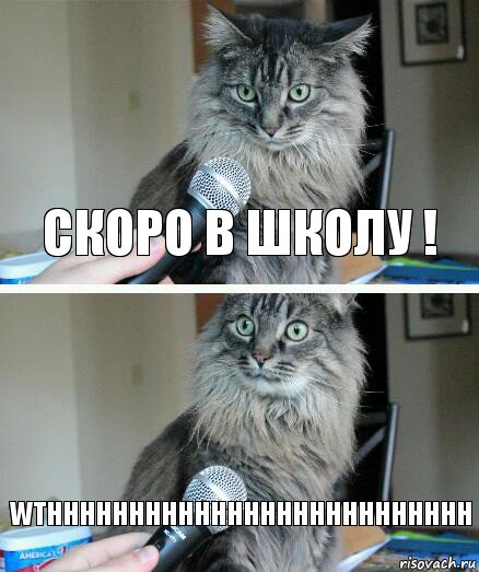 скоро в школу ! WTHHHHHHHHHHHHHHHHHHHHHHHHHH, Комикс  кот с микрофоном