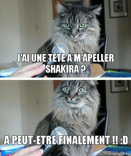 J'ai une tete a m'apeller Shakira ? A peut-etre finalement !! :D, Комикс  кот с микрофоном