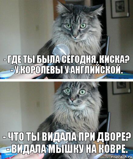 - Где ты была сегодня, киска?
- У королевы у английской. - Что ты видала при дворе?
- Видала мышку на ковре., Комикс  кот с микрофоном