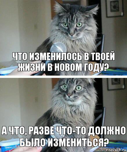 что изменилось в твоей жизни в новом году? а что, разве что-то должно было измениться?, Комикс  кот с микрофоном