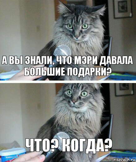 А Вы знали, что Мэри давала большие подарки? Что? Когда?, Комикс  кот с микрофоном