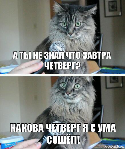 а ты не знал что завтра четверг? какова четверг я с ума сошёл!, Комикс  кот с микрофоном